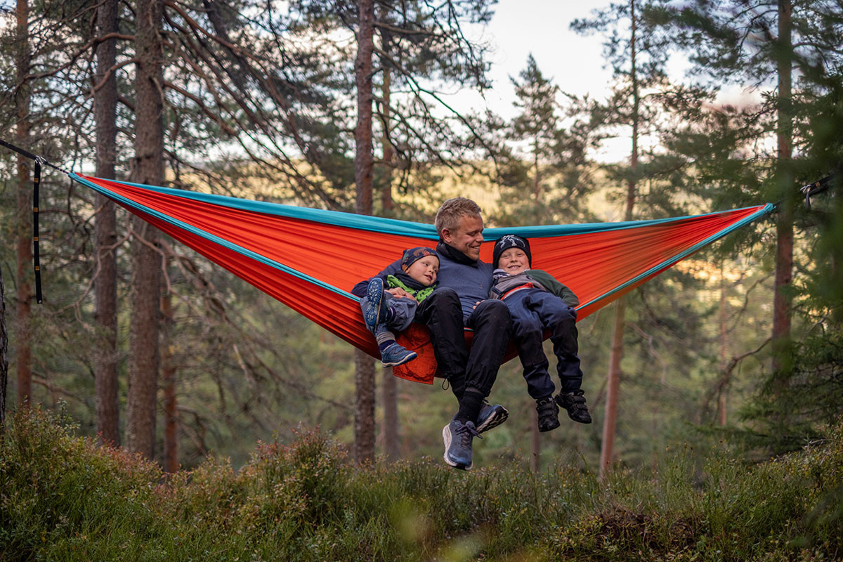 Fjellkosreglene