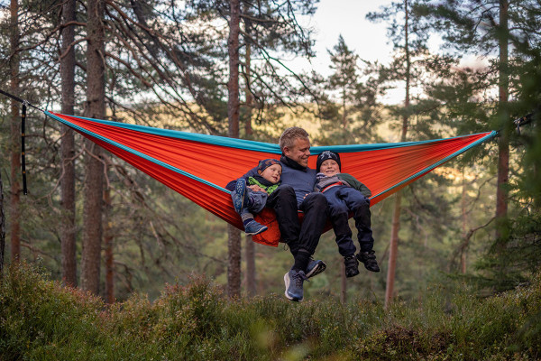 Fjellkosreglene